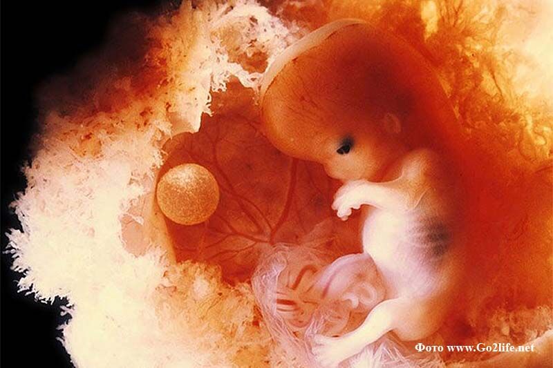 Жительница Тобольска спасла 40 женщин от греха